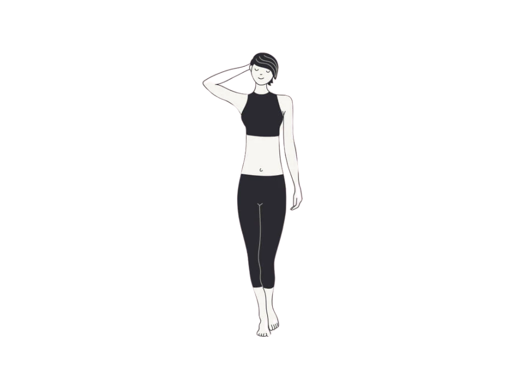 Inverted Triangle Shaped Body