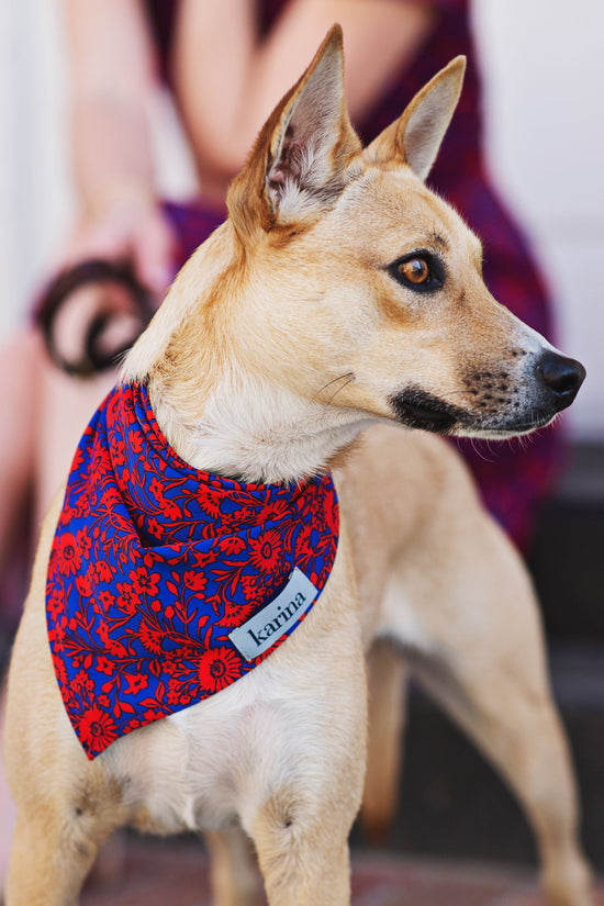 Pet Bandana - Florabundance