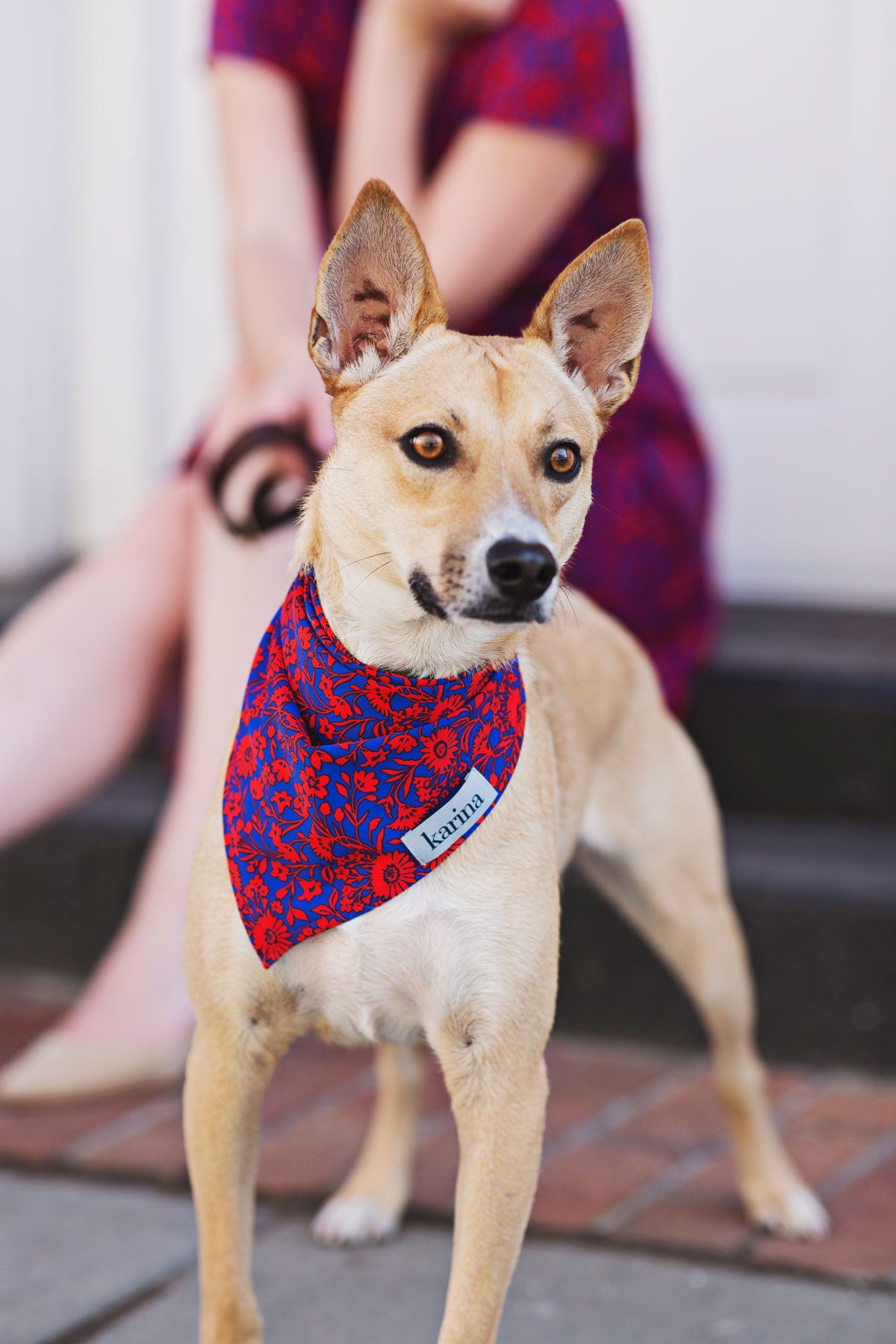 Pet Bandana - Florabundance