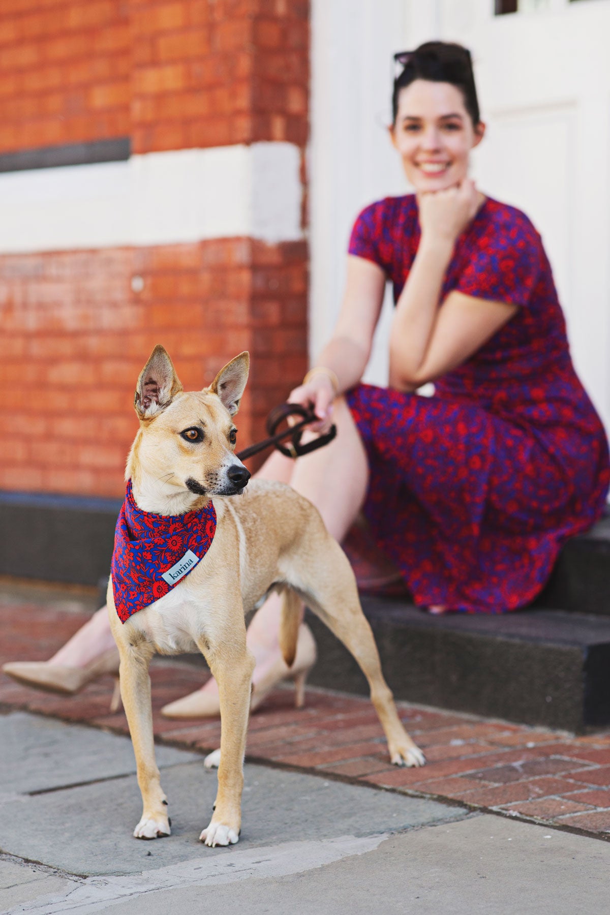 Pet Bandana - Florabundance