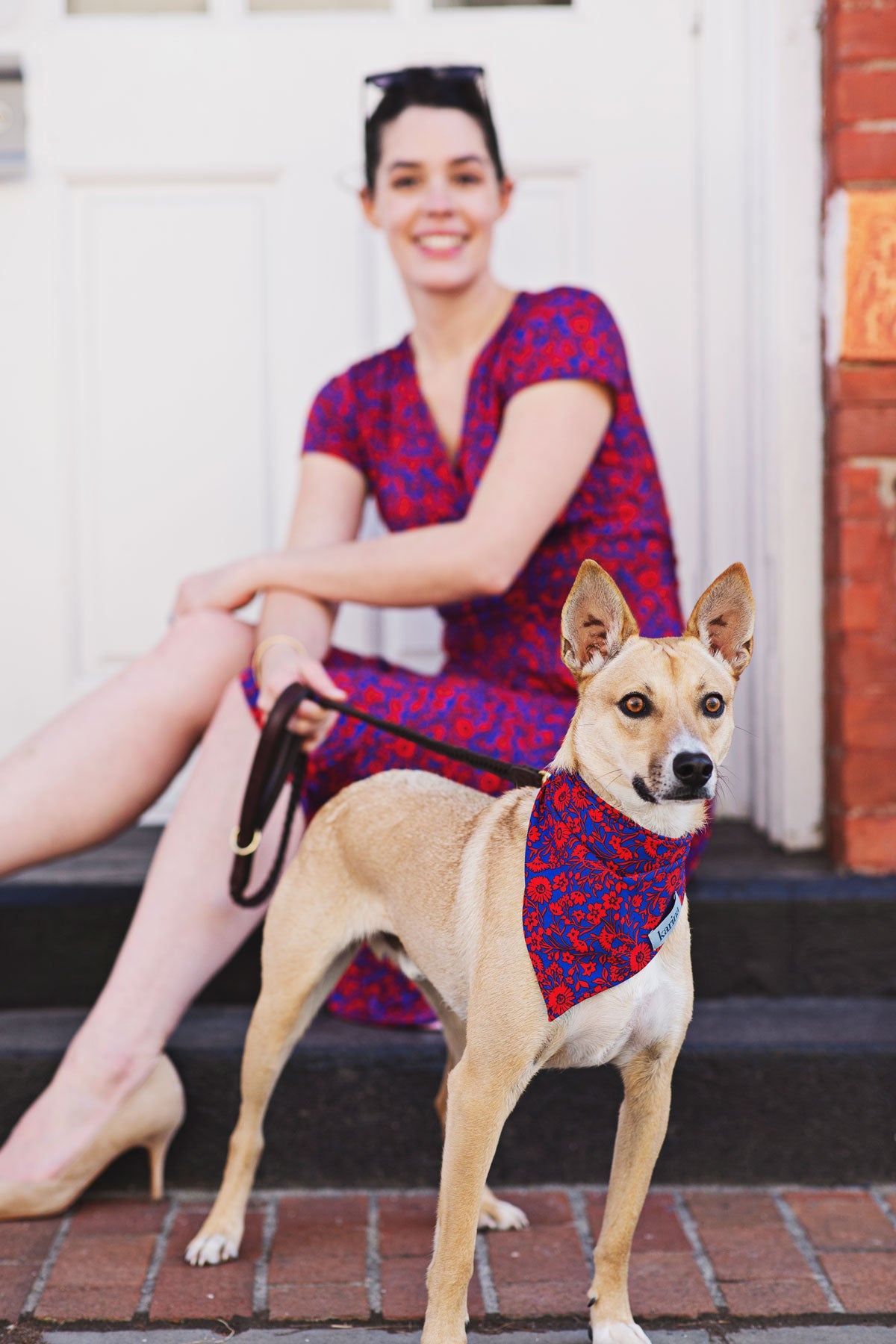 Pet Bandana - Florabundance